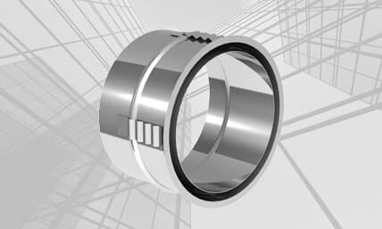 _Niro_Line EW 06 doppeltes Wandfutter für EW 06 mit Zentrierfedern